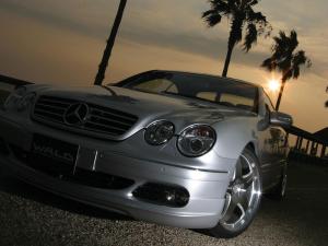 Mercedes-Benz CL600 by Wald '2004